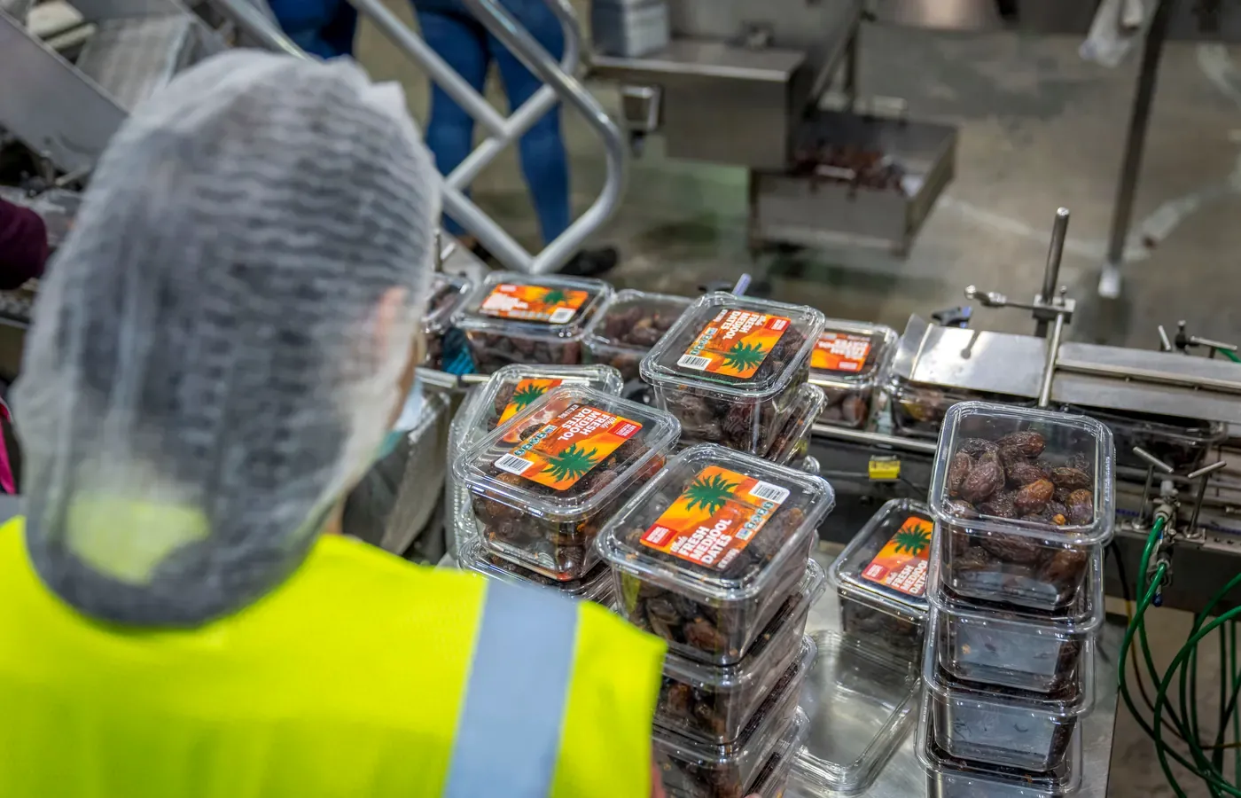 Food packs moving through a production packing area