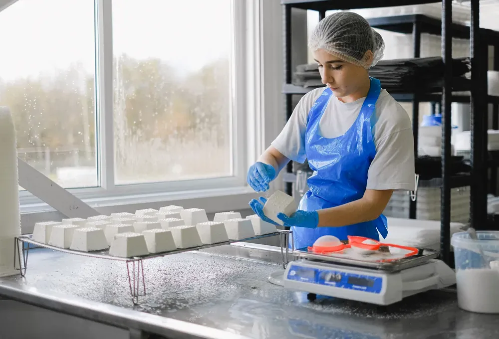 Production-line scene for powder & granule handling